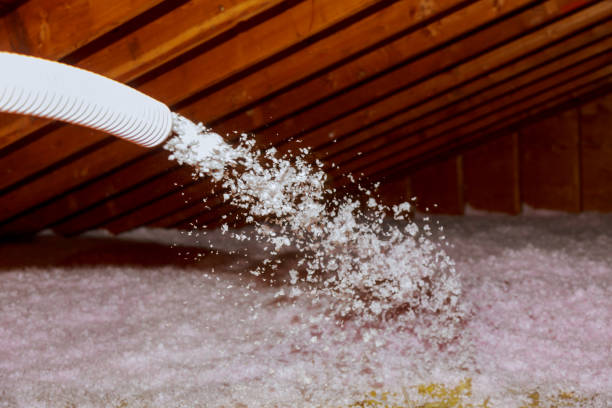 Professional Insulation Contractor in San Luis Obispo, CA